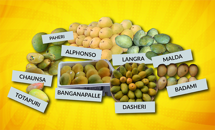 Different Indian Mangoes